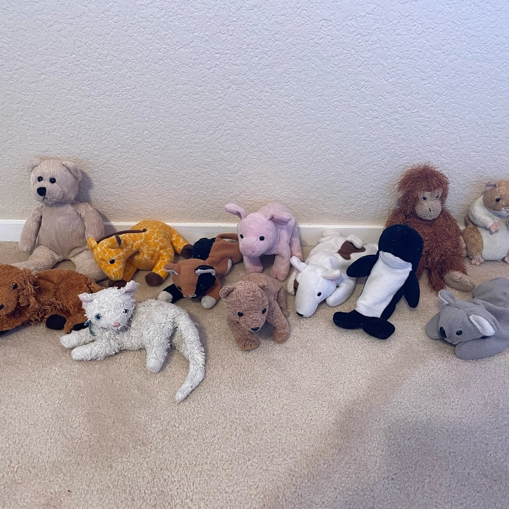 Beanie Baby Set